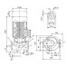 Циркуляционный насос с сухим ротором Wilo VeroLine-IPL 32/135-1,1/2 Циркуляционный насос с сухим ротором Wilo VeroLine-IPL 32/135-1,1/2